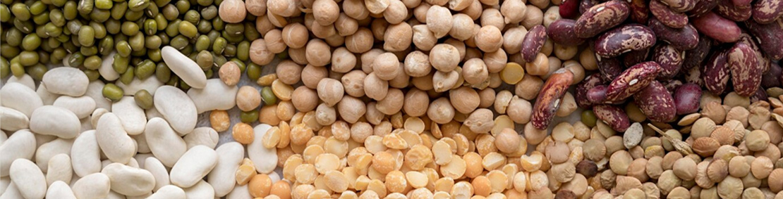 Beans, Legumes, and Pulses – Oh My!