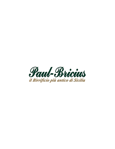 Paul Bricius
